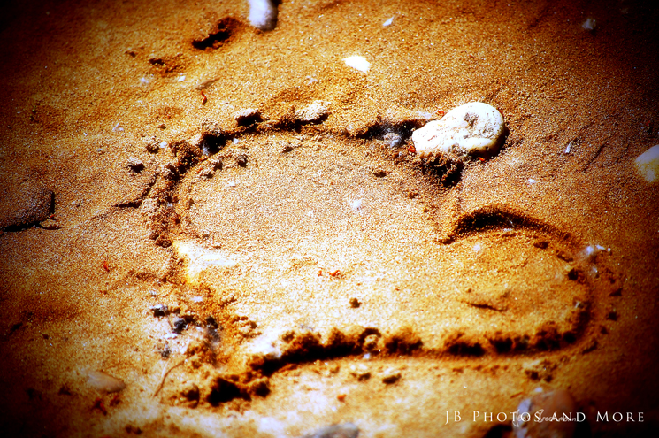 Photo#001