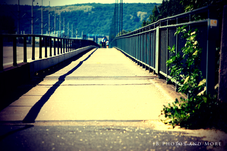 Photo#003