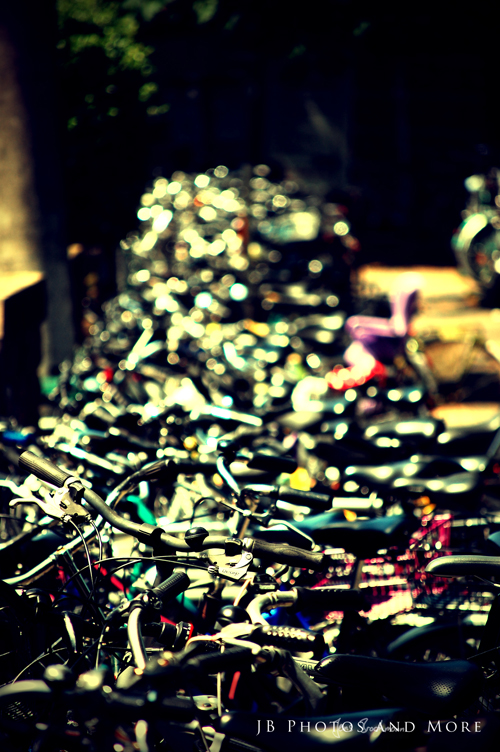 Photo#005