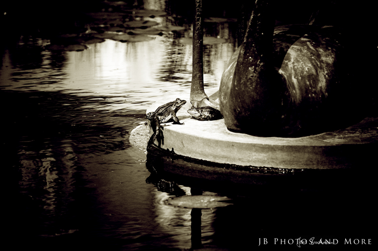 Photo#038