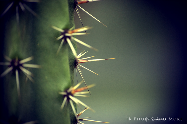 Photo#044