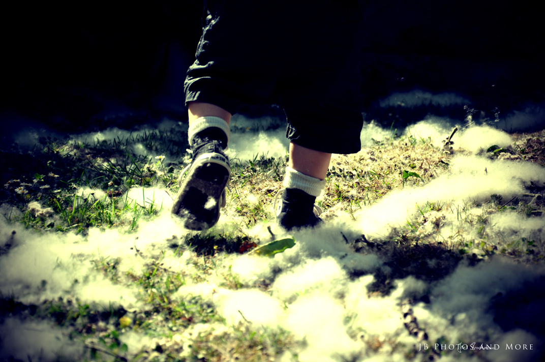 Photo#047
