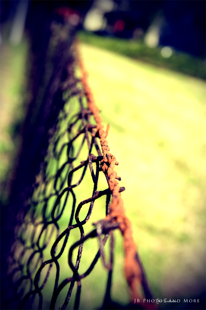 Photo#060