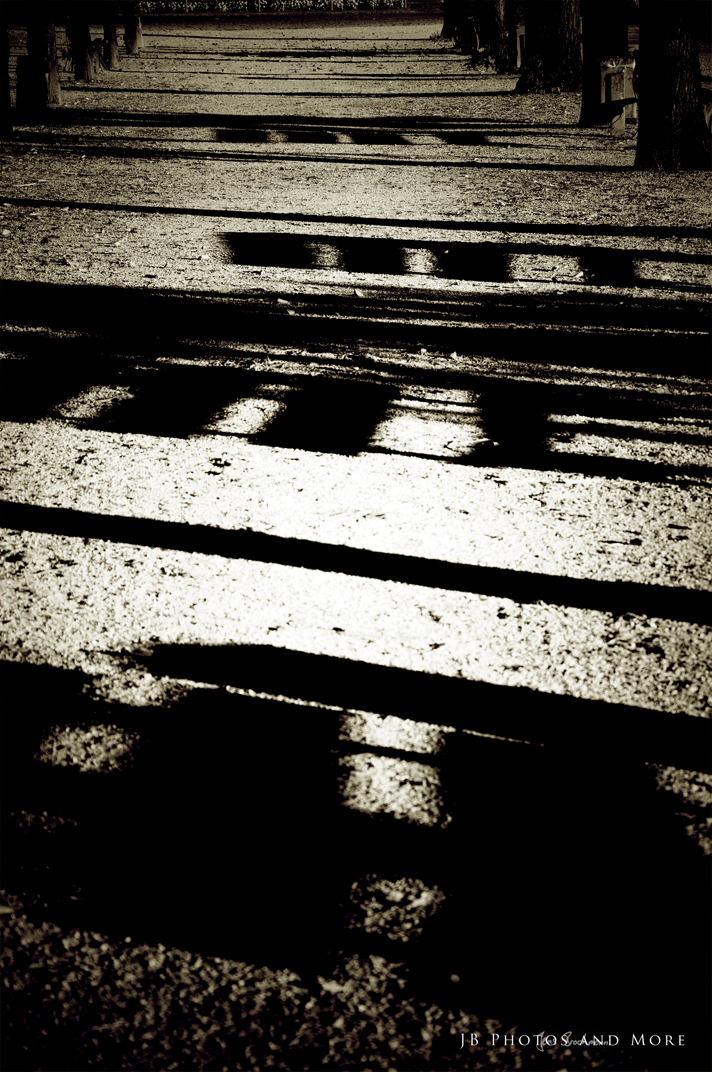 Photo#068
