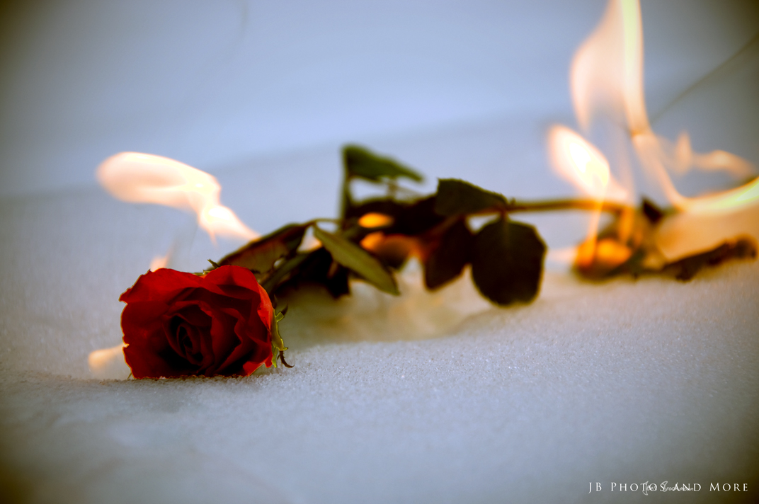 Photo#080