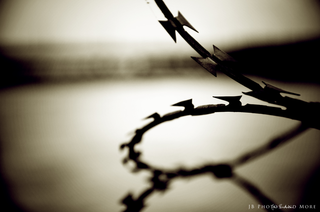 Photo#150