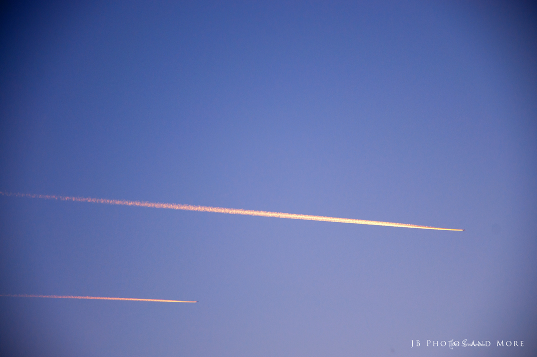 Photo#163